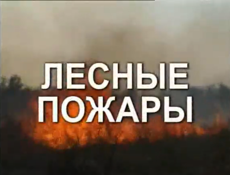 Видео «Лесные пожары»