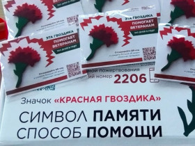Всероссийская акция «Красная гвоздика»..